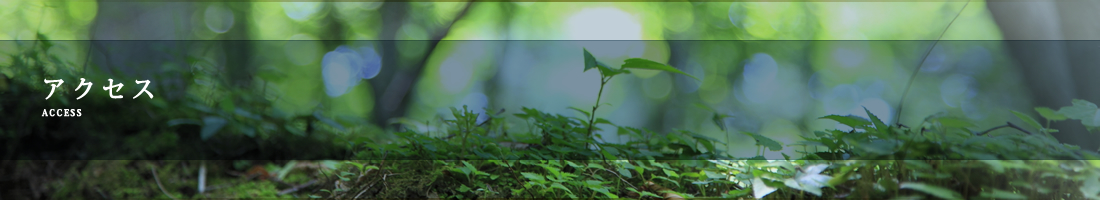 アクセス