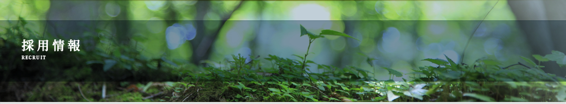 採用情報